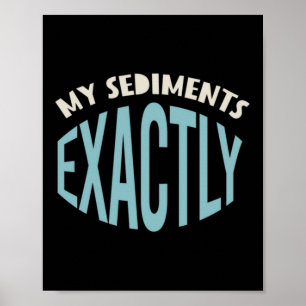 Geologie Pun My Sediments Exact Poster