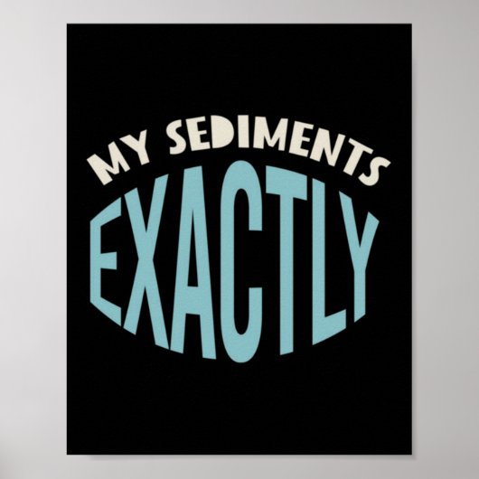Geologie Pun My Sediments Exact Poster (Voorkant)