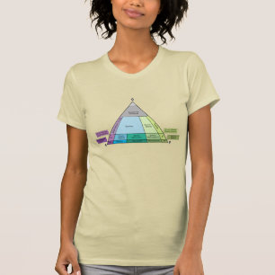 Geologie QAP-diagram - Plutoniumgesteente ID T-shirt