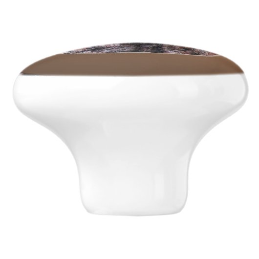 Geologie Roze Rock Texture Keramische Knop (Zijkant)