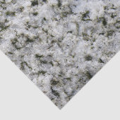 Geologie White Granite Rock textuur Tissuepapier (Detail)