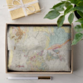 Geologische kaart Europa Tissuepapier (Geschenk)