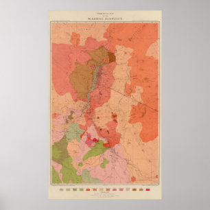 Geologische kaart van het district Washoe Poster