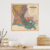  geologische kaart van Louisiana (1882) Poster (Keuken)