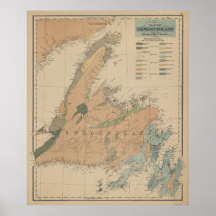  geologische kaart van Newfoundland (1875) Poster