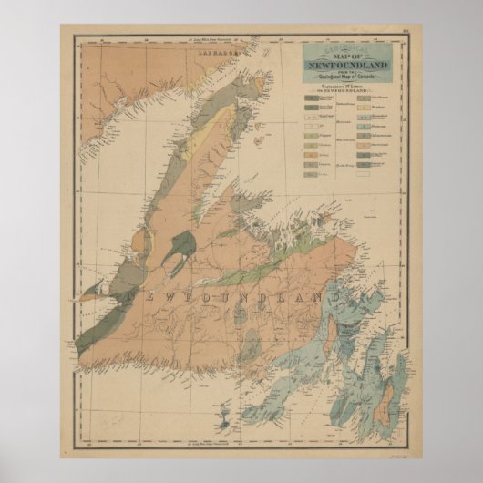  geologische kaart van Newfoundland (1875) Poster (Voorkant)