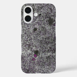 Geologische Natuur Granite Rock roze details iPhone 16 Hoesje
