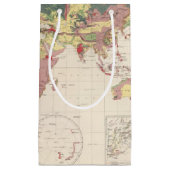 Geologische structuur van het wereldbol klein cadeauzakje (Voorkant)