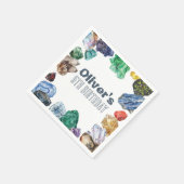 Geology Birthday Rocks Dig Party Napkins Servet (Hoek)