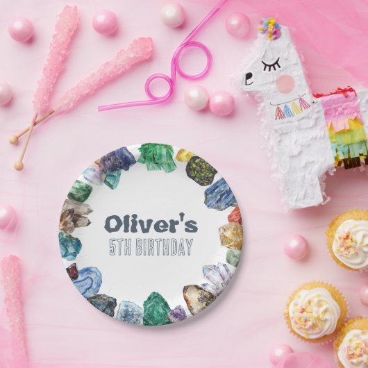 Geology Birthday Rocks Dig Party Papieren Bordje (Feest)
