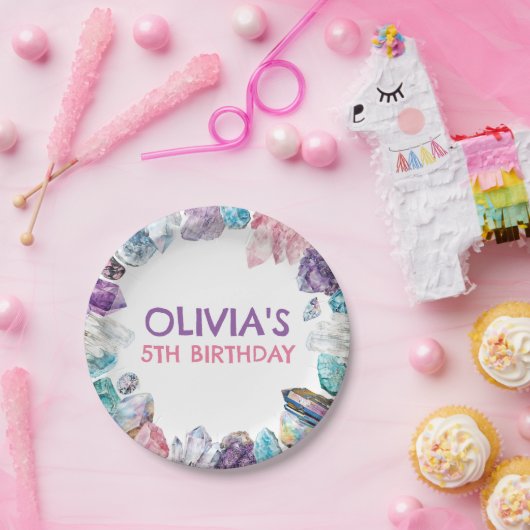 Geology Girl Birthday Rocks Dig Party Papieren Bordje (Feest)