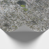 Geology Rock Grey Granite met Green Moss Cadeaupapier (Hoek)