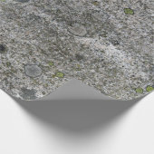 Geology Rock Grey Granite met Green Moss Cadeaupapier (Hoek)