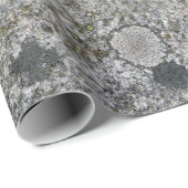 Geology Rock Grey Granite met Green Moss Cadeaupapier (Rol Hoek)