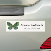 Geometra papilionaria - De Grote Emerald Moth Bumpersticker (Op auto)