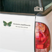 Geometra papilionaria - De Grote Emerald Moth Bumpersticker (Op Truck)