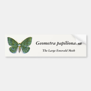 Geometra papilionaria - De Grote Emerald Moth Bumpersticker