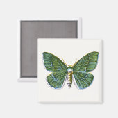 Geometra papilionaria - De Grote Emerald Moth Magneet (Voorkant / Achterkant)