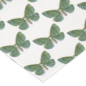 Geometra papilionaria - De Grote Emerald Moth Medium Tafelloper (Hoek)