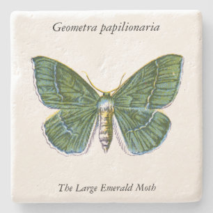 Geometra papilionaria - De Grote Emerald Moth Stenen Onderzetter