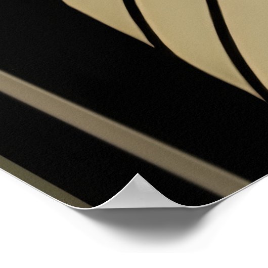 Geometric Convergence Poster (Hoek)