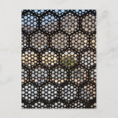Geometric Lattice window, India Briefkaart (Voorkant)