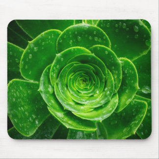 Geometrie van de Natuur — Succulente Perfectie Muismat