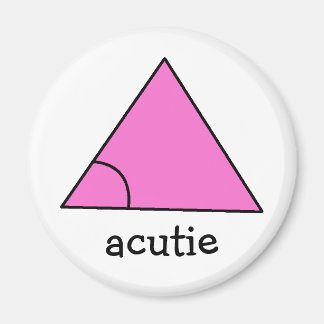 Geometrie Wiskunde Teacher Gift Triangle Acute Acu Magneet
