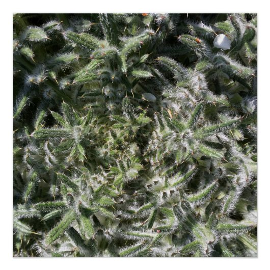 geometrisch wild plant perfect poster (Voorkant)