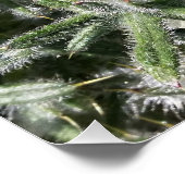 geometrisch wild plant perfect poster (Hoek)