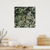 geometrisch wild plant poster (Keuken)