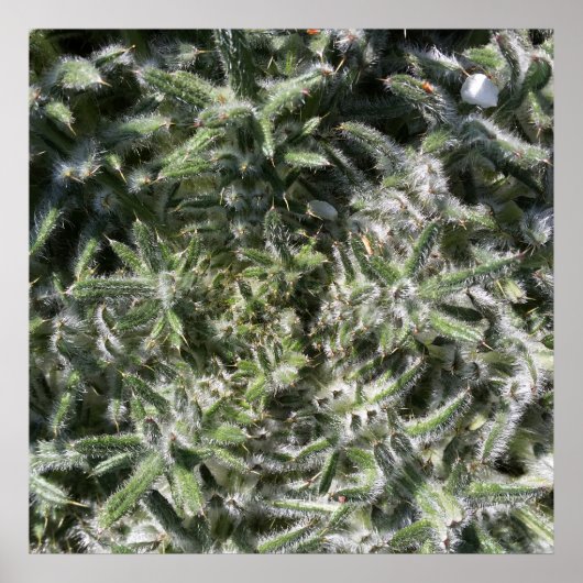 geometrisch wild plant poster (Voorkant)