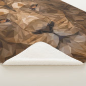 Geometrische leenportret sherpa deken (3/4)