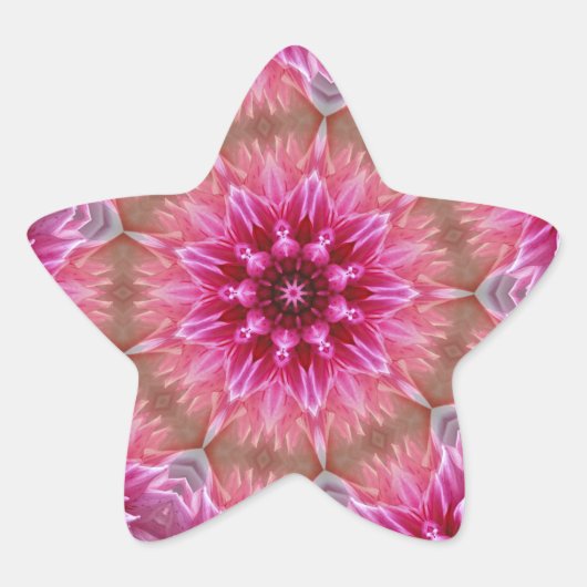 Geometrische mandala roze bloem patroon-67545 ster sticker (Voorkant)