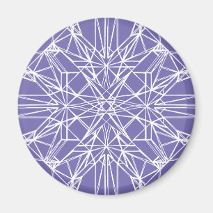 Geometrische symmetrie magneet