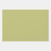 Geometrische Warme Neutrals Honingraat Scrapbook Inpakpapier Vel (Voorkant 2)