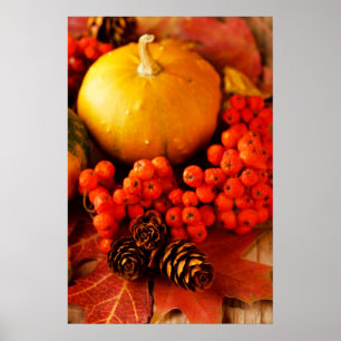 Geoogste pompoenen met valbladeren 2 poster