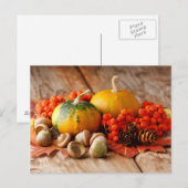 Geoogste pompoenen met valbladeren briefkaart (Voorkant / Achterkant)