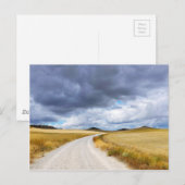 Geoogste tarwevelden briefkaart (Voorkant / Achterkant)
