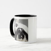 Geoorloofd konijn dat over het geoorloofde uiteind mok (Voorkant links)