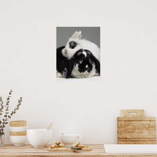 Geoorloofd konijn dat over het geoorloofde uiteind poster (Keuken)