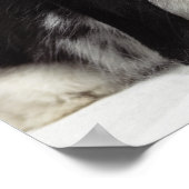 Geoorloofd konijn dat over het geoorloofde uiteind poster (Hoek)