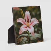 Geopende roze lelie fotoplaat (Voorkant)