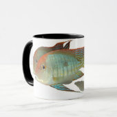 Geophagus sp. "Tapajos Oranje Head" Mok (Voorkant links)