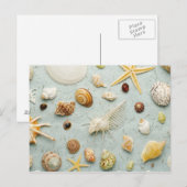 Geordende seizoenshellen op blauwe achtergrond briefkaart (Voorkant / Achterkant)