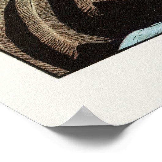 George Barbier Poster (Hoek)