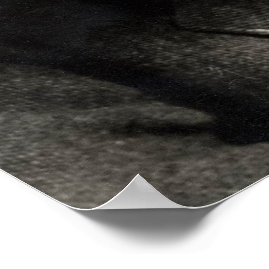 George Bernard Shaw Poster (Hoek)