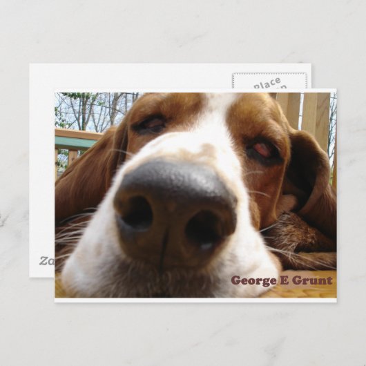 George Briefkaart (Voorkant / Achterkant)