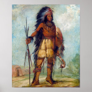 George Catlin A-wun-né-wa-be, Vogel van Thunder Poster