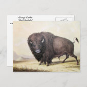 George Catlin - Bull Buffalo Briefkaart (Voorkant / Achterkant)